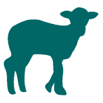 Cabrito