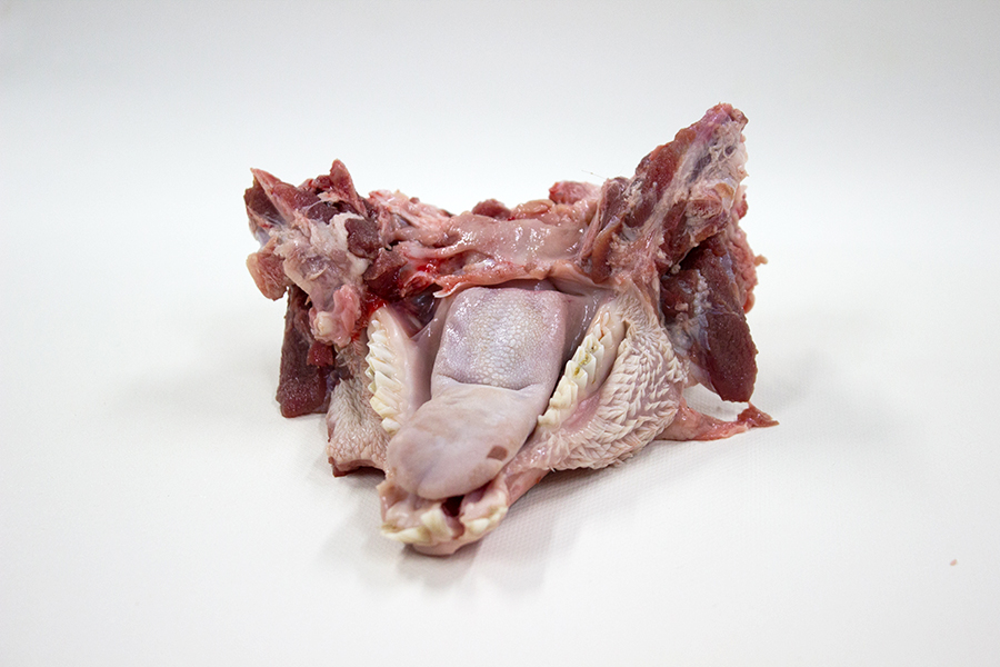 Lengua de cordero
